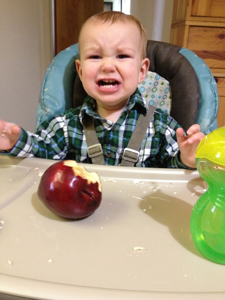 One of Oliver's first tantrums at 12 months.  Doesn't it look like fun?
